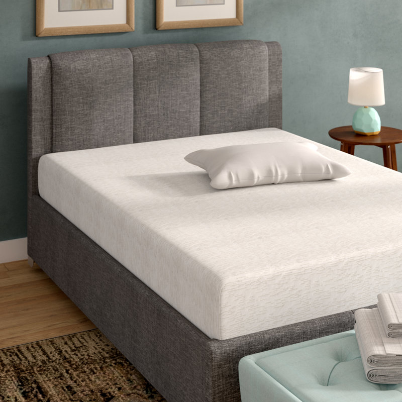 Wayfair Sleep™ Wayfair Sleep 10" Firm Memory Foam Mattress & Reviews